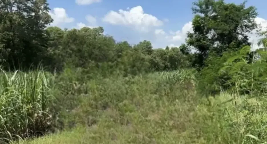 For sale land in Phatthana Nikhom, Lopburi