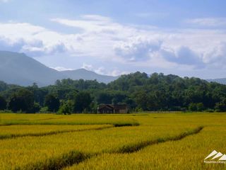 For sale 3 bedrooms house in Mae On, Chiang Mai
