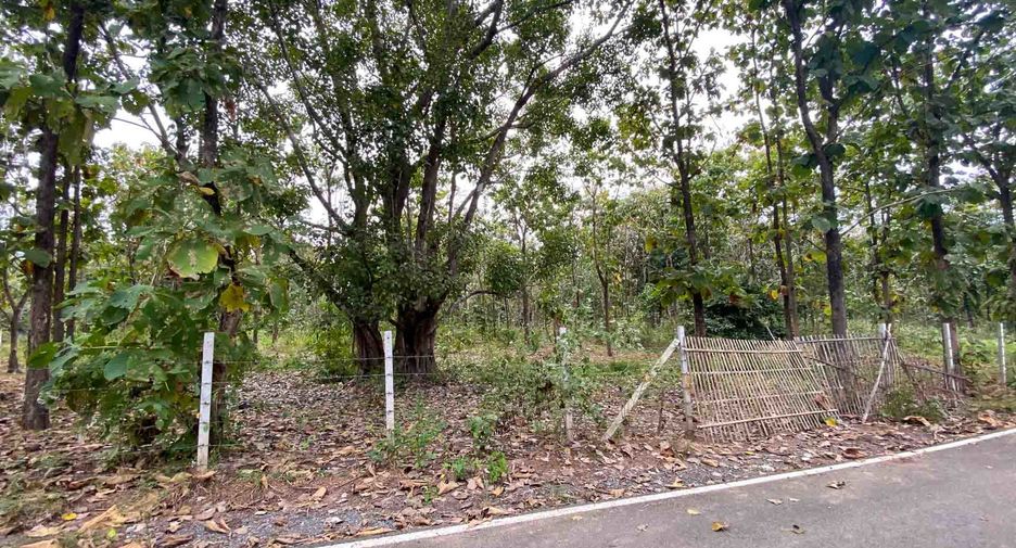 For sale land in Mae On, Chiang Mai