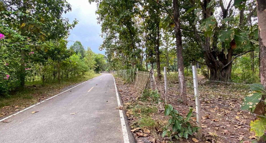 For sale land in Mae On, Chiang Mai