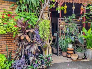 Продажа 11 спальни отель в Mueang Chiang Mai, Чианг Маи