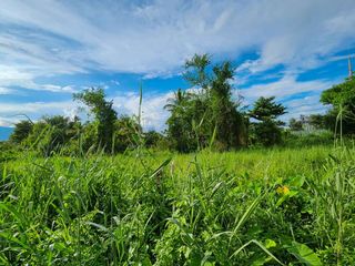 À vendre terrain à Mueang Chiang Mai, Chiang Mai
