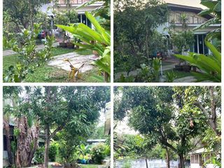 À vendre terrain à Mueang Nonthaburi, Nonthaburi
