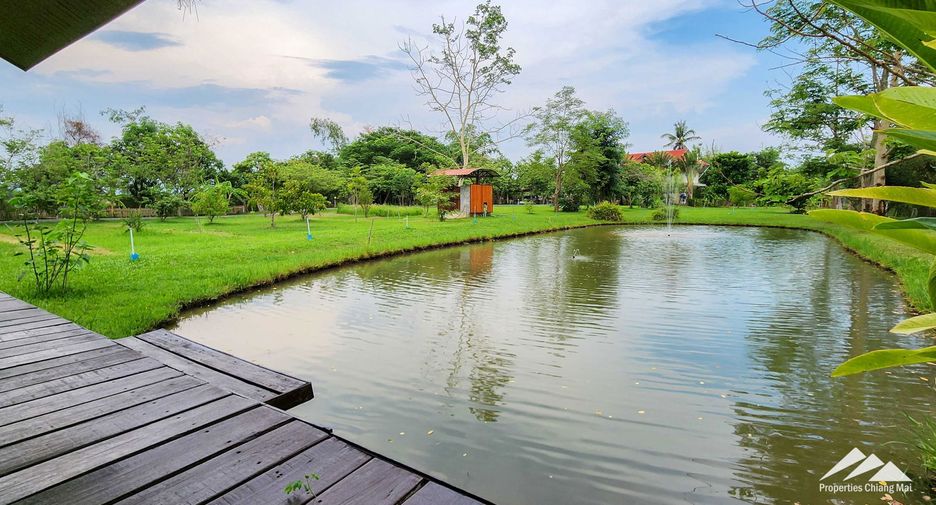 出售 4 卧室 独立屋 在 Doi Saket, Chiang Mai