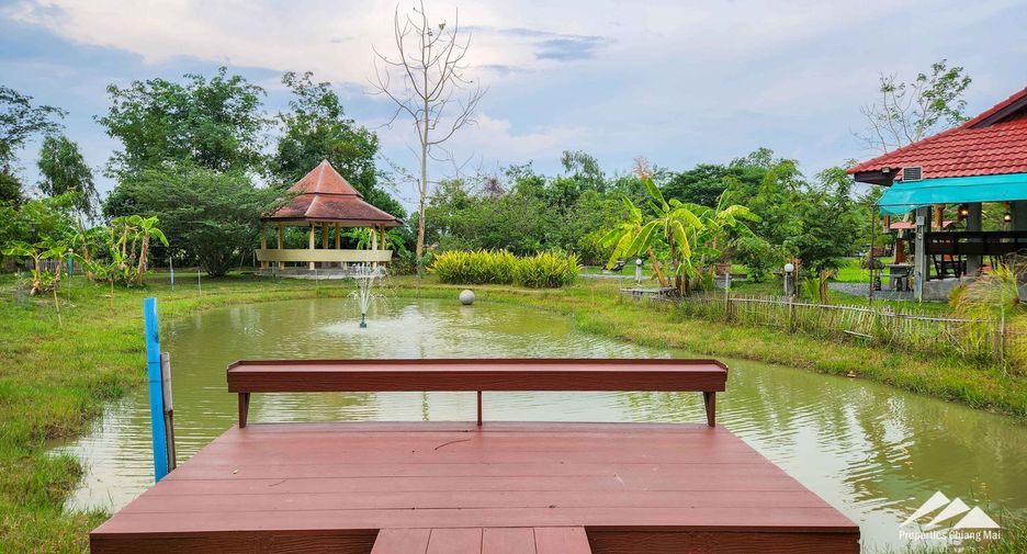 出售 4 卧室 独立屋 在 Doi Saket, Chiang Mai