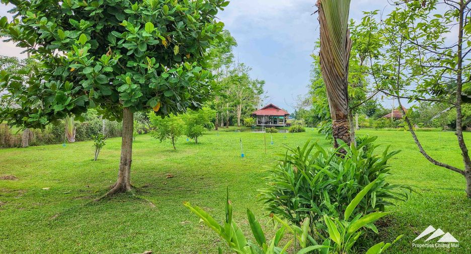 出售 4 卧室 独立屋 在 Doi Saket, Chiang Mai