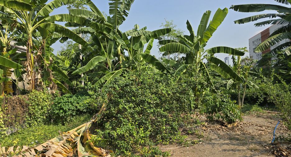 For sale land in Mueang Nonthaburi, Nonthaburi