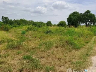 Terreno en venta en Phan Thong, Chonburi