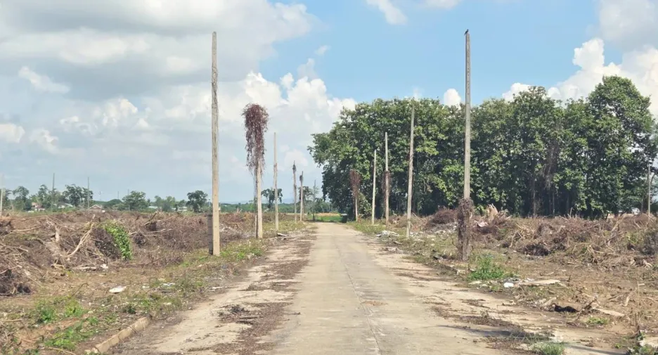For sale land in Mueang Phitsanulok, Phitsanulok