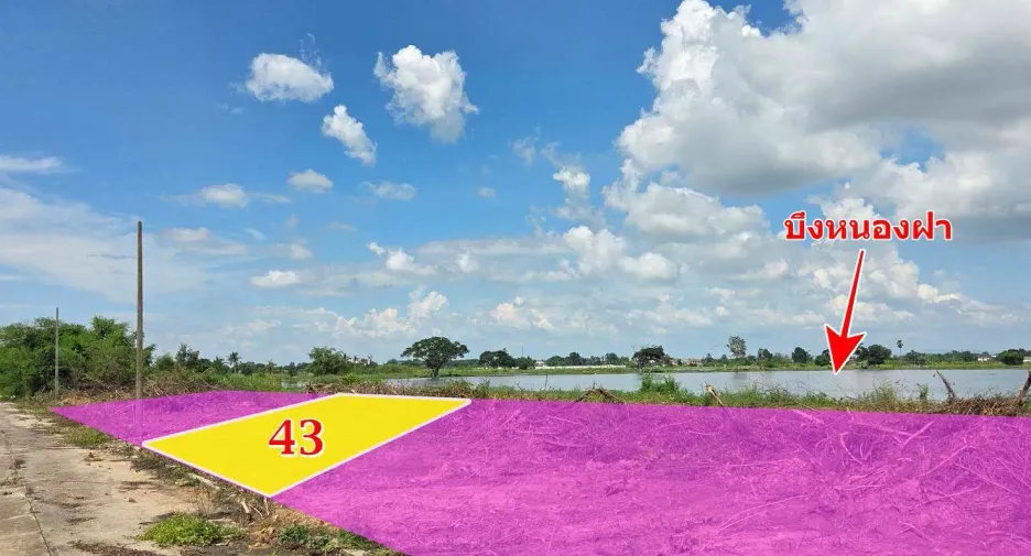 For sale land in Mueang Phitsanulok, Phitsanulok