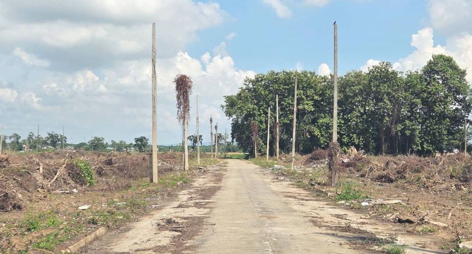 For sale land in Mueang Phitsanulok, Phitsanulok