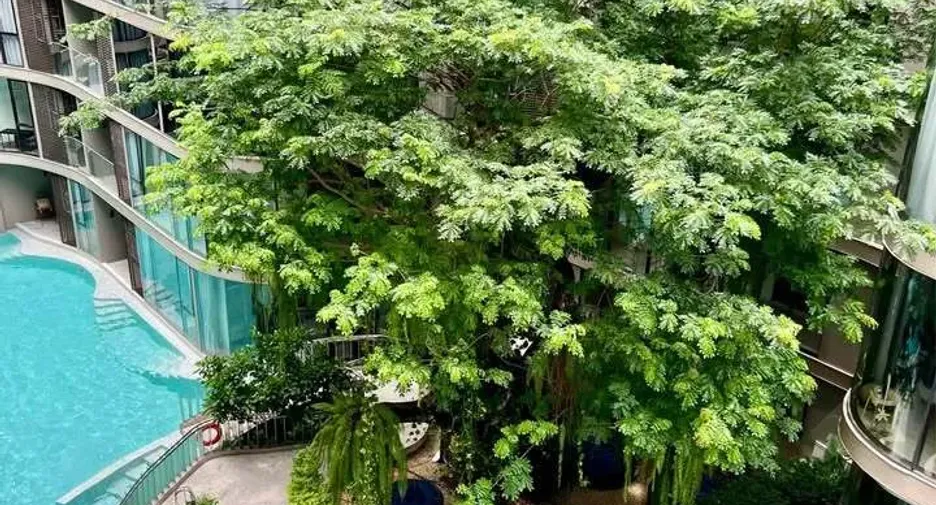 ให้เช่า 1 เตียง คอนโด ใน คลองเตย, กรุงเทพฯ