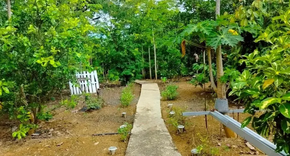 For sale 2 bedrooms house in Lom Kao, Phetchabun