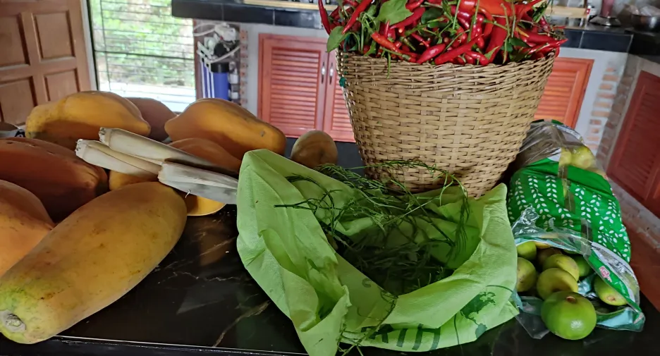 For sale 2 bedrooms house in Lom Kao, Phetchabun