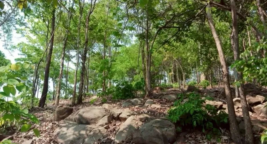 For sale 2 bedrooms house in Lom Kao, Phetchabun