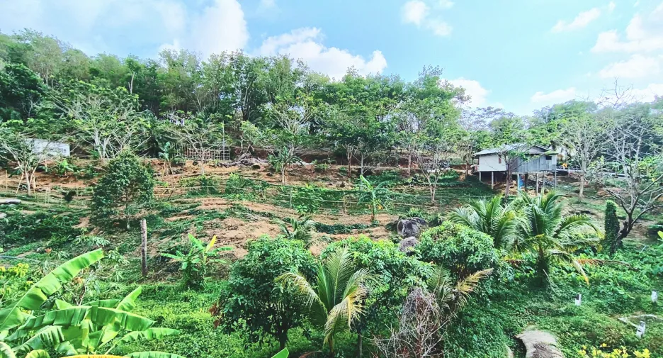 For rent studio house in Mueang Phuket, Phuket