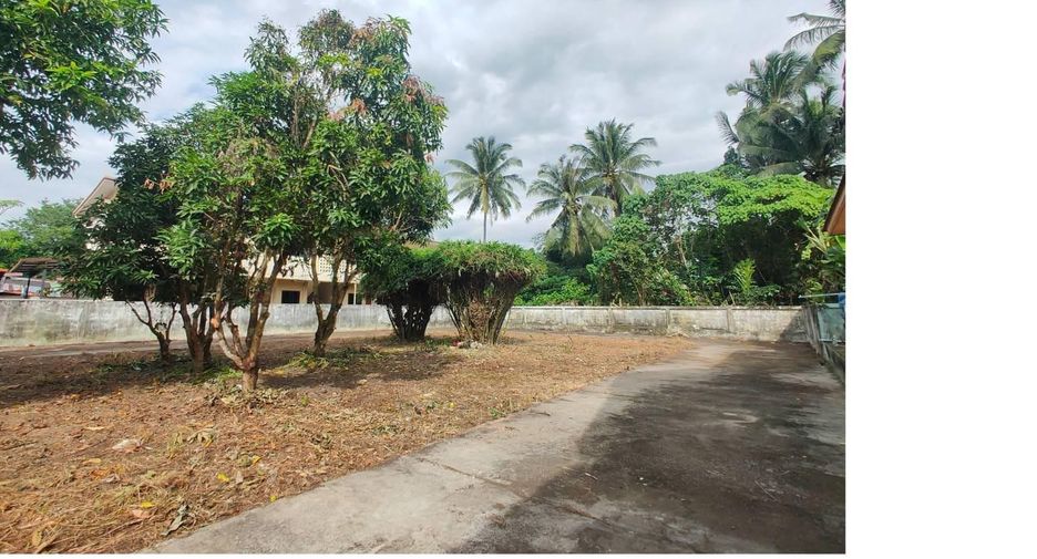 For sale 5 bedrooms villa in Thalang, Phuket
