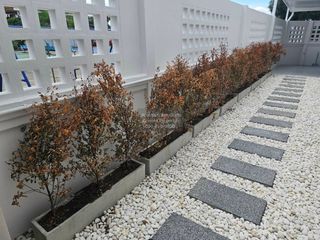 Продажа 2 спальни таунхаус в Нонг Кхаем, Бангкок