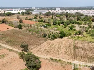 For sale land in Mueang Nakhon Ratchasima, Nakhon Ratchasima