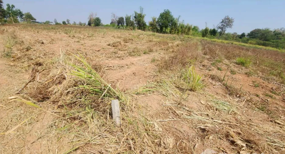 À vendre terrain à Mueang Nakhon Ratchasima, Nakhon Ratchasima