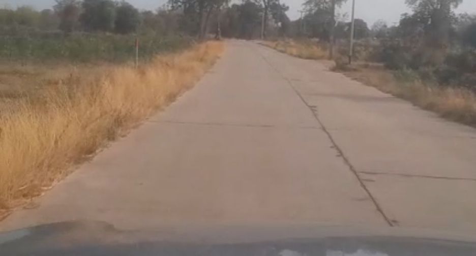 Grundstück zum Kauf in Dan Khun Thot, Nakhon Ratchasima
