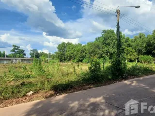 出售 土地 在 Klaeng, Rayong