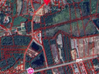出售 土地 在 Klaeng, Rayong