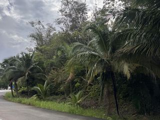 For sale land in Ban Khai, Rayong