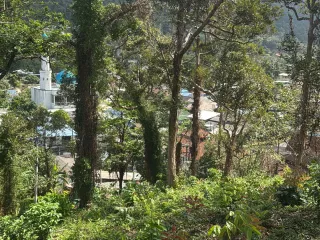 出售 土地 在 Ban Khai, Rayong