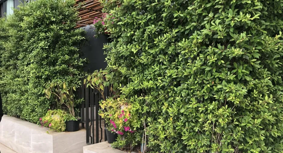 For sale 1 bed condo in Phra Khanong, Bangkok