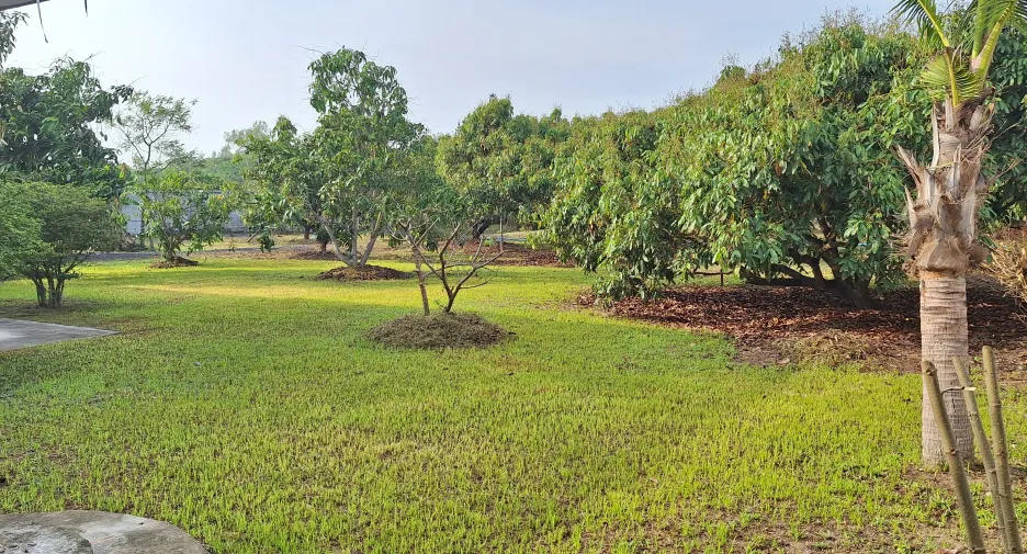 For sale 5 ベッドルーム house in San Pa Tong, Chiang Mai