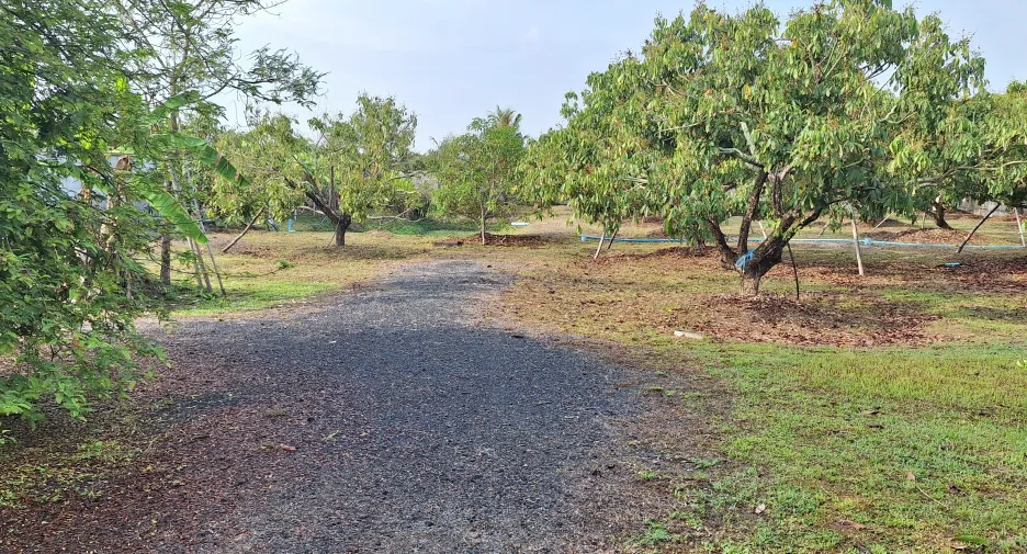 For sale 5 ベッドルーム house in San Pa Tong, Chiang Mai