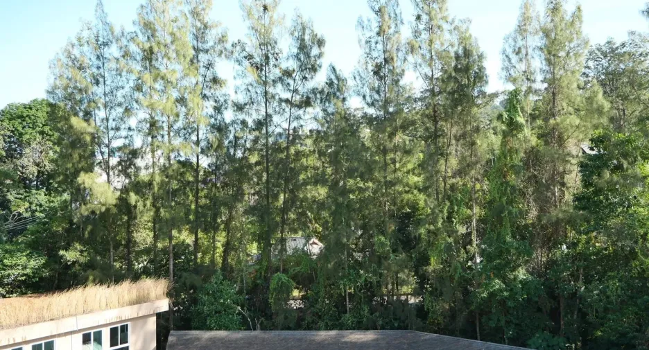 For sale 1 bed condo in Kathu, Phuket
