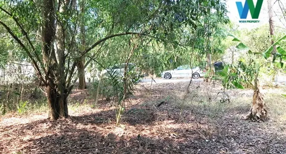 For sale land in Nong Suea, Pathum Thani