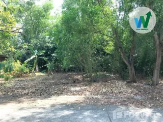 Terreno en venta en Nong Suea, Pathum Thani