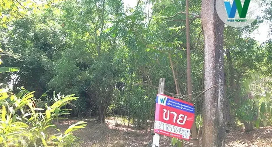 For sale land in Nong Suea, Pathum Thani