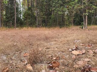 For sale land in Kuchinarai, Kalasin