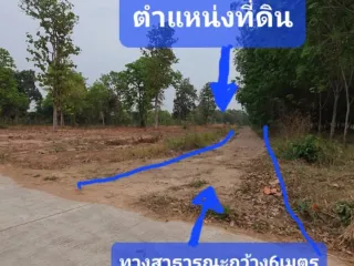 For sale land in Kuchinarai, Kalasin