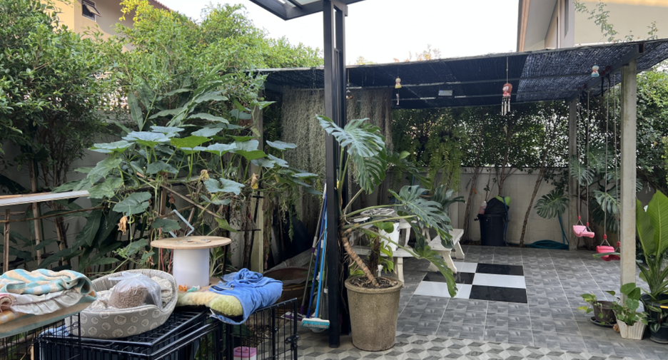 For sale 4 bedrooms house in Saraphi, Chiang Mai