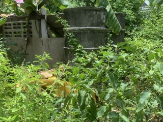 For sale land in Mueang Samut Prakan, Samut Prakan