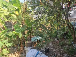 For sale land in Mueang Samut Prakan, Samut Prakan