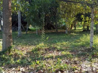Grundstück zum Kauf in Bang Lamung, Chonburi