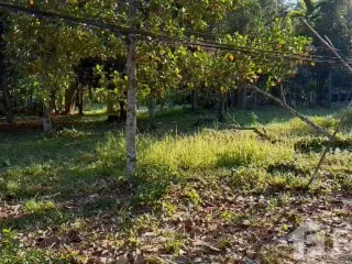 Grundstück zum Kauf in Bang Lamung, Chonburi