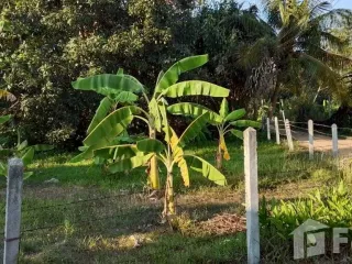 Grundstück zum Kauf in Bang Lamung, Chonburi