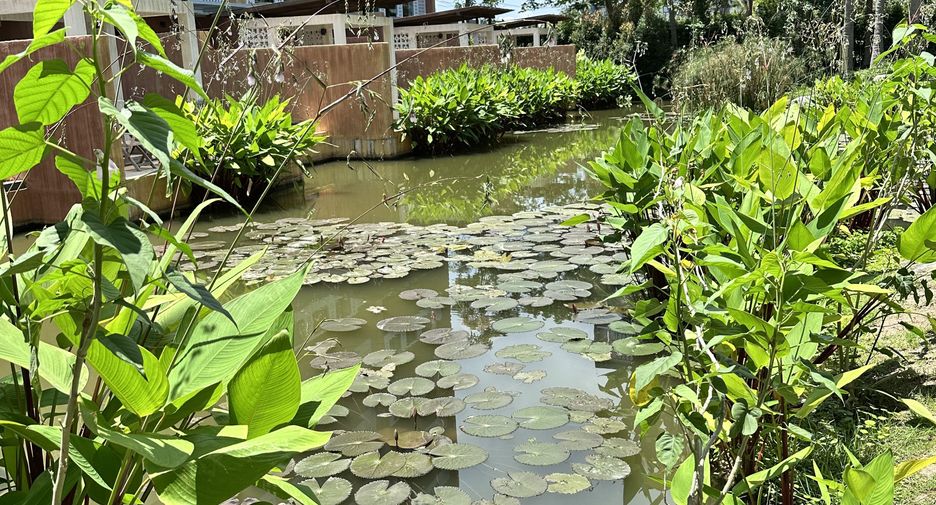 For sale 2 bedrooms condo in Cha Am, Phetchaburi