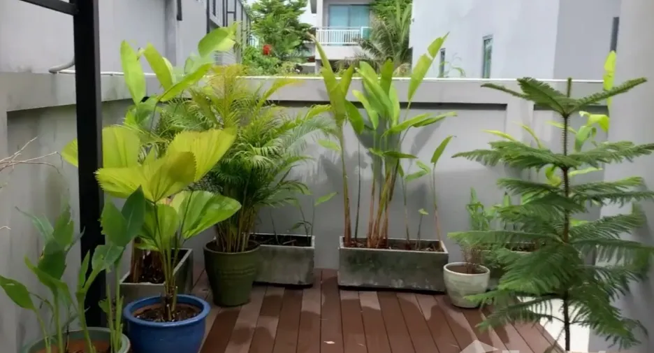 For sale 3 bedrooms house in Thalang, Phuket