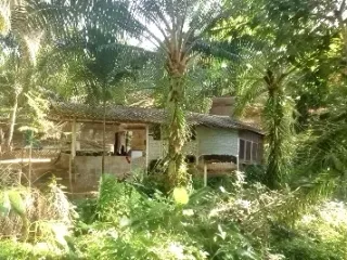For sale land in Takua Thung, Phang Nga
