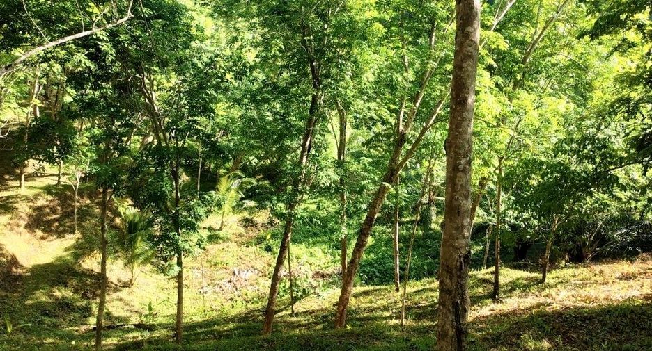 For sale land in Takua Thung, Phang Nga