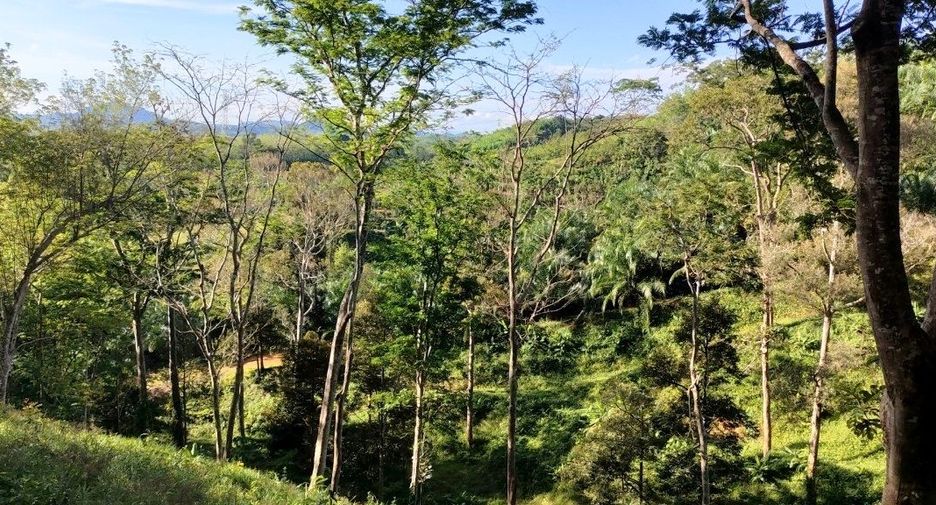 For sale land in Takua Thung, Phang Nga