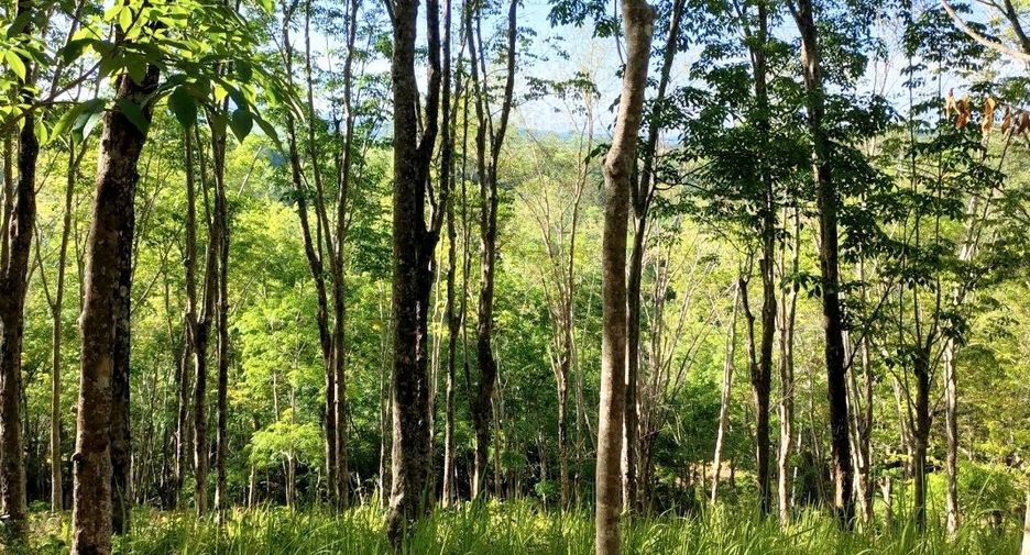 For sale land in Takua Thung, Phang Nga